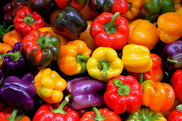 Colorful bell peppers, Farmer's Market, Portland, Oregon - Powered by Adobe