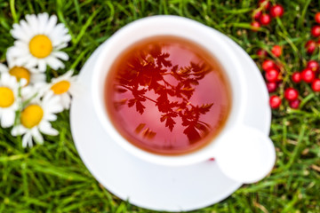 White ceramic mug of hot black herbal tea with daisy flowers and red currant berries on green grass. Summer, Autumn, winter drink. Top view. The reflection of the sky and tree branches in a cup.