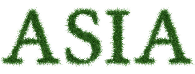 Asia - 3D rendering fresh Grass letters isolated on whhite background.