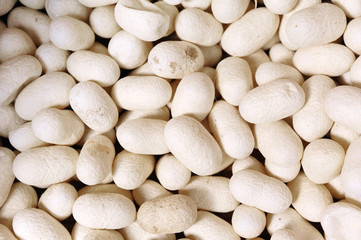 A pile of silkworm cocoon