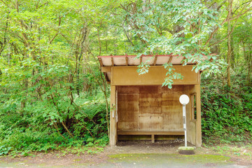 森の中のバス停