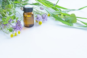 アロマオイル　ラベンダー　白バック
