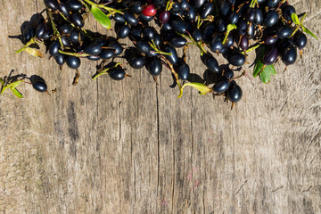 Black currant berries on rustic wooden background. Top view with copy space