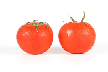 Fresh Red Tomato