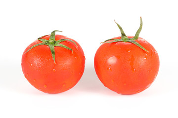 Fresh Red Tomato