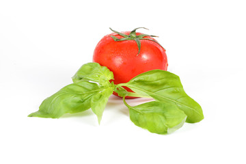 Tomato and Basil