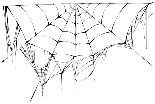 Black spiderweb on white background