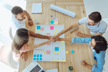 Pleasant friendly team holding hand together