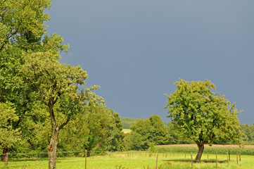 Sonnenschein nach Gewitterregen