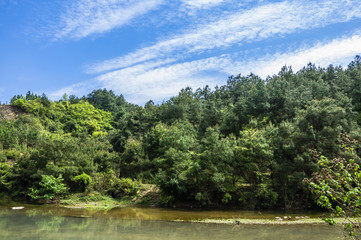 The countryside scenery in summer 