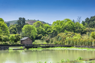 Obraz premium The countryside scenery in summer 