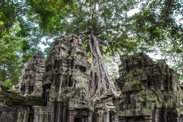 Fototapeta na wymiar Ta Prohm temple ruins hidden in jungles, Siem Riep, Cambodia