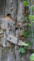 Porte ancienne bois cabane Lot-et-Garonne France