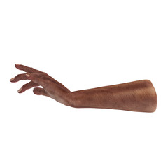 african hand of the old man isolated on a white. 3D illustration