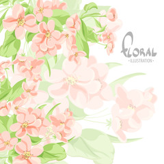 Blossoming apple tree on a white background