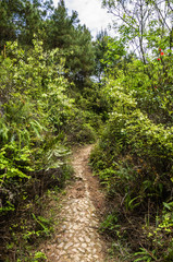 The path in the mountain 