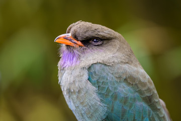 by Thorsten Spoerlein (www.thorstenspoerlein.com)