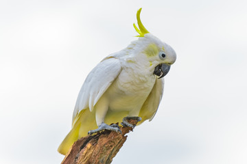 by Thorsten Spoerlein (www.thorstenspoerlein.com)