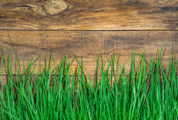 Wiese Gras Frisch Grün mit Holz Hintergrund und Textfreiraum