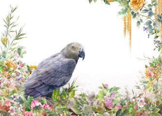 watercolor painting with bird and flowers, on white background