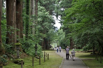 苔が有名な福井県の平泉寺