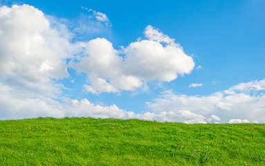 Green dike below a blue cloudy sky in sunlight in summer