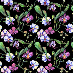 Wildflower orchid flower pattern in a watercolor style. Full name of the plant: orchid. Aquarelle wild flower for background, texture, wrapper pattern, frame or border.