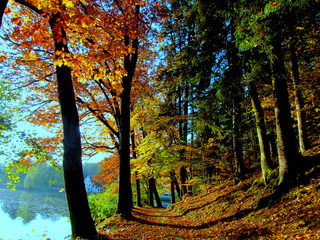 Chemin au bord de l'&eacute;tang
