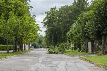 Silence after the storm. Fallen tree branches on the street.