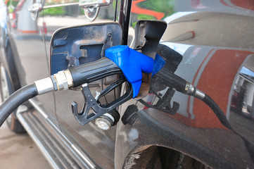 Add fuel oil to the car in the fuel pump with a dispenser.(select focus)