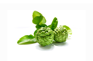 Fototapeta premium Bergamot tree on a white background