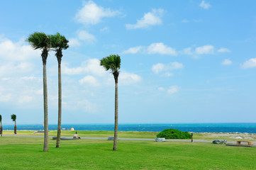 Beautiful seashore of Chihsingtan Beach,Taiwan.