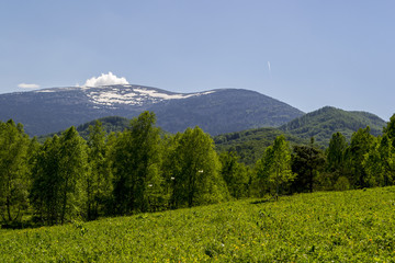 Fototapeta premium Altai mountains