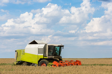 grain harvester combine gathering the crop on a field