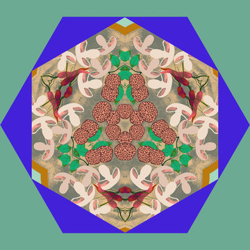 Food kaleidoscope with salami, mushroom, carrots and basil 