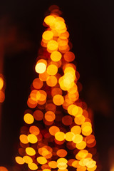 Fototapeta premium Christmas tree on dark background
