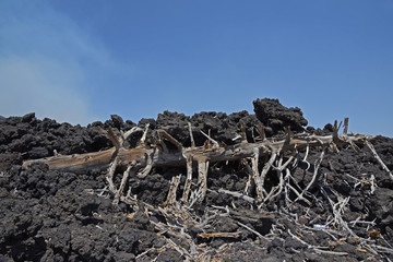 Paysage de lave sur l'Etna