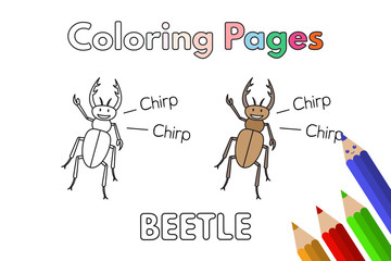 Cartoon Beetle Coloring Book