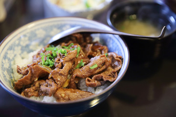 Gyudon , Beef bowl on rice , Japanese food