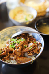 Gyudon , Beef bowl on rice , Japanese food
