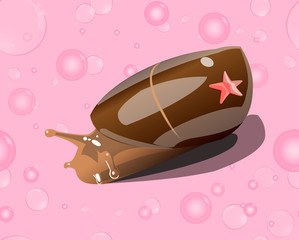 starfish and snail, bubbles on a pink background