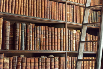 Old vintage books on wooden bookshelf and ladder in a library © Delphotostock