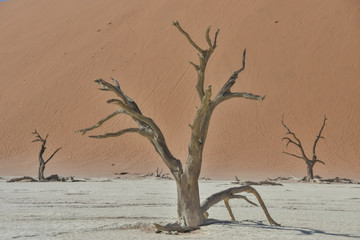 Deadvlei - Namibia - 2017