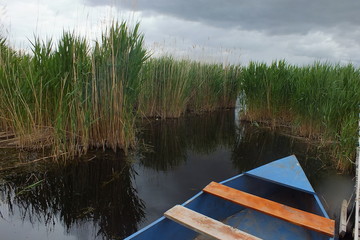 Obraz premium a little boat near the lake