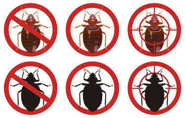Stop bedbug signs. Set of insect pest control signs. Vector illustration.
