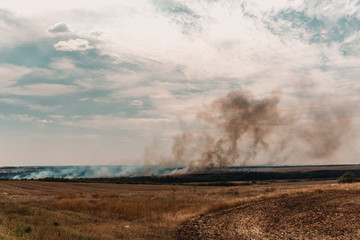 Fototapeta na wymiar Wild fire on dry grass, natural fire on summer field