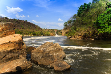Fototapeta na wymiar Nile river - Murchison Falls N.P. - Uganda