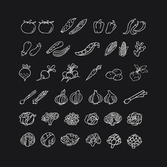 Vegetables hand drawn icon set in line style.