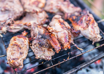 Nutria meat on grill.