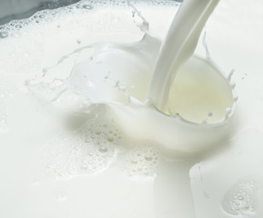 Pouring milk and milk splash. Close-up.